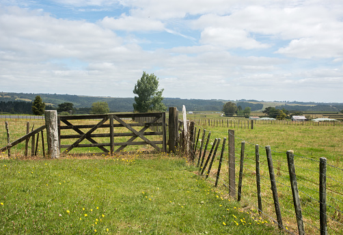 Rustic fence line with a ​gate in rural farmland under a blue sky with clouds in Waimate North, New Zealand