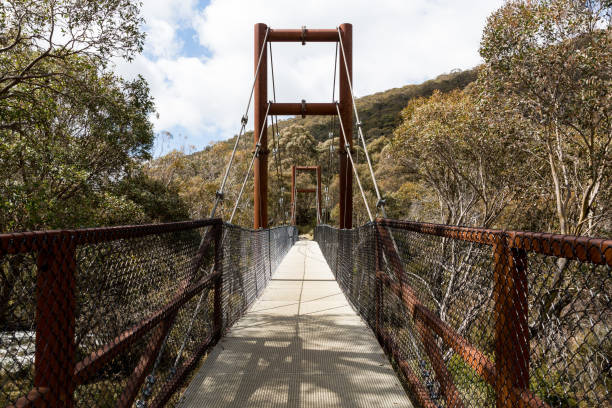 istock Bridge Thredbo River - Mt Kosciuszko National Park 1065240990