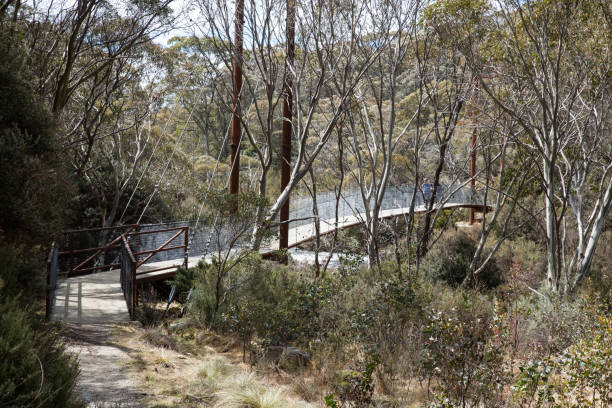istock Thredbo River - Mt Kosciuszko National Park 1065241328