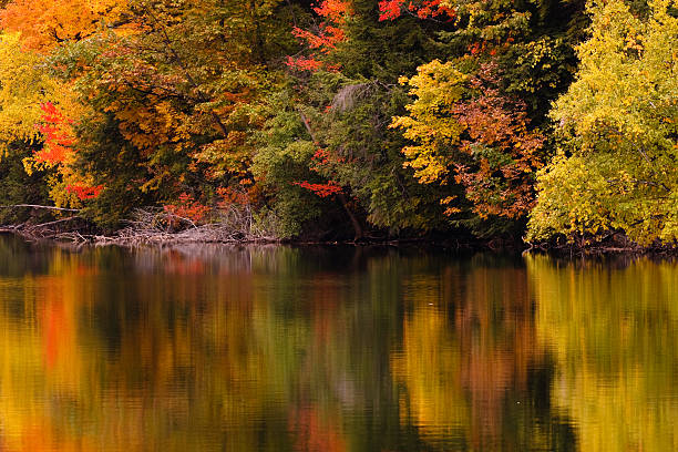 istock Fall colors in Northern Ontario 106524139