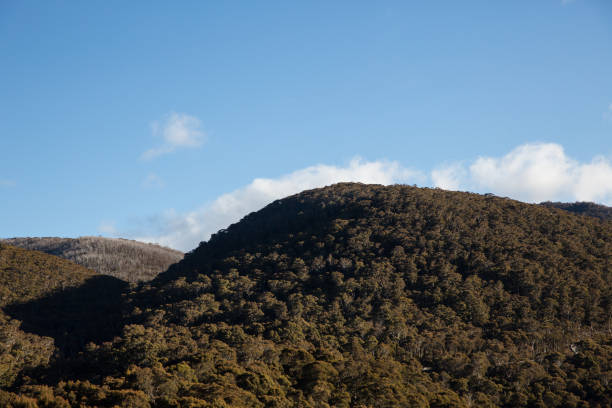 istock Mt Kosciuszko National Park 1065242774