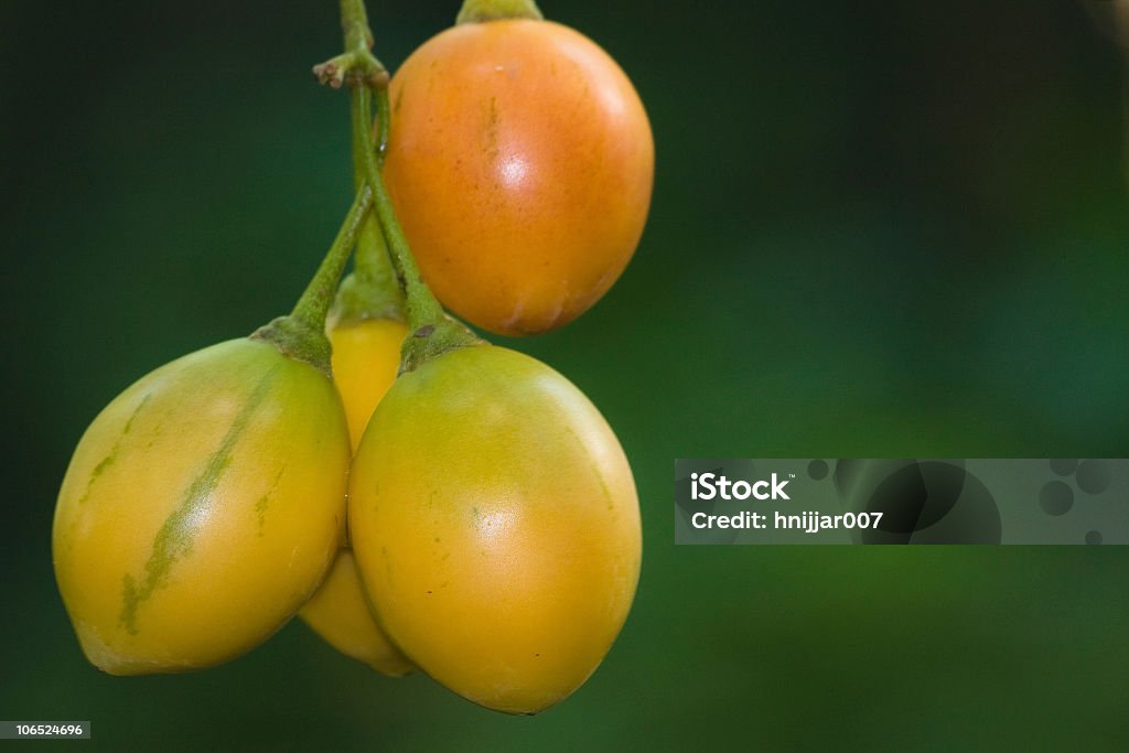 Frutas tropicais, pendurado em uma árvore - Foto de stock de Maracujá royalty-free