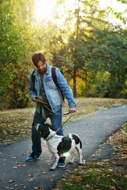 istock Man and dog in autumn park 1065249842