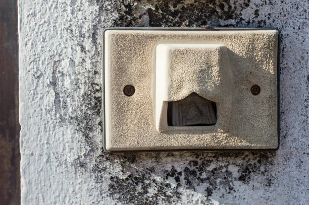 istock The antique bell switch at the front doll. 1065255350