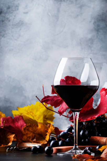 istock Dry red wine, splash in glass, pink background, defocused in motion image 1065257266