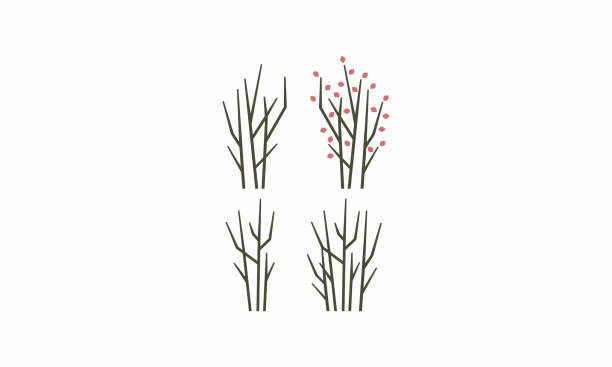illustrations, cliparts, dessins animés et icônes de arbre branche logo icône vecteur - tree branch tree trunk leaf