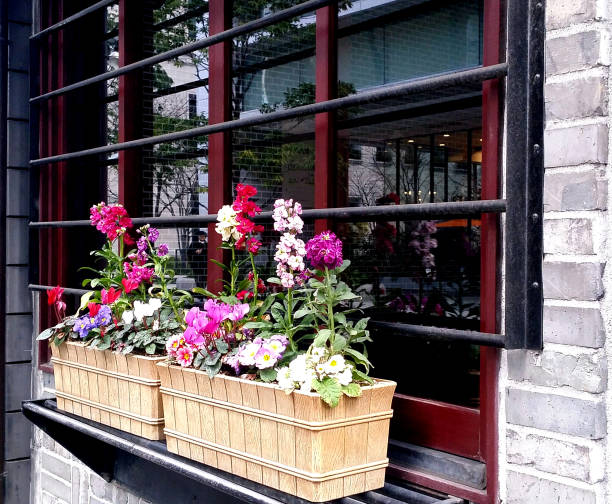 istock Flower beds on the street 1065276402