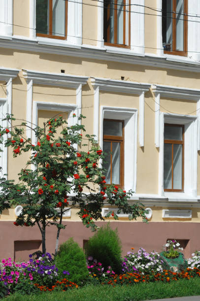 istock Texture, background. architecture of the city 1065279006