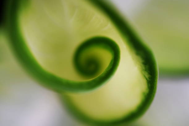 istock green leave spiral nature abstract background 1065280606