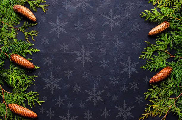 istock Christmas Tree fir Branches with cones on black background. View from above. 1065284658