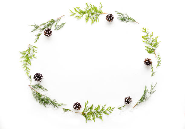 istock Christmas composition. Fir tree branches on white background with snow. 1065284720