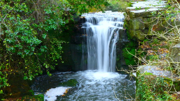 istock Waterfall Jesmond Dene Newcastle Upon Tyne 1065292264