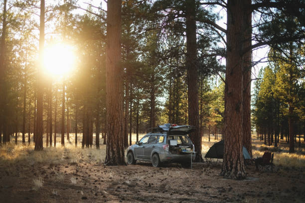 Dispersed Camping in National Forest stock photo
