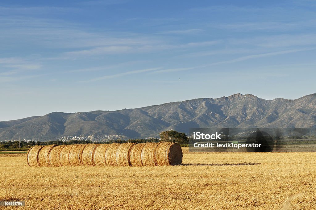 Rolos de feno contra Montanhas. - Royalty-free Agricultura Foto de stock