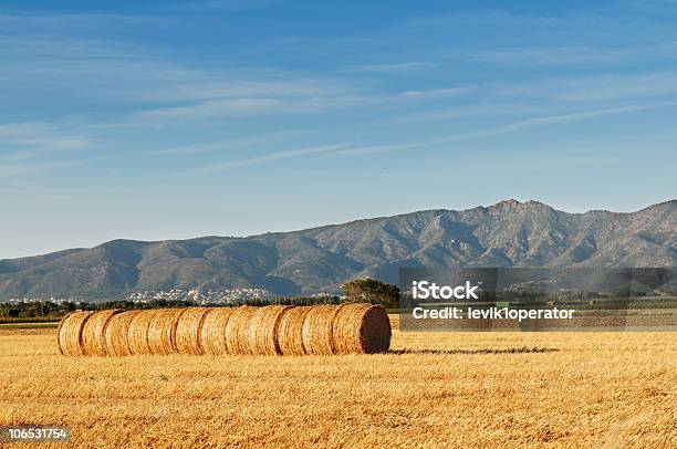 Rolos De Feno Contra Montanhas - Fotografias de stock e mais imagens de Agricultura - Agricultura, Ajardinado, Amarelo