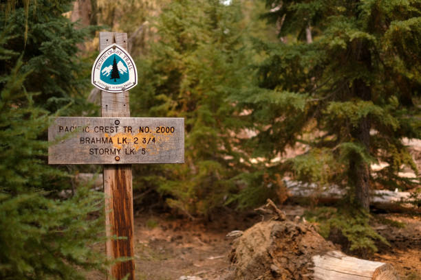 Willamette National Forest, Oregon, USA - August 20, 2018: A sign marking the Pacific Crest Trail as it passes through the Oregon Cascades Wilderness. The Pacific Crest Trail is a 2,650 mile (4,265 kilometer) hiking route that traverses western US wilderness from Canada to Mexico.