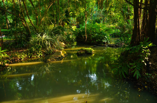 istock Tropical flora and fauna 1065320850