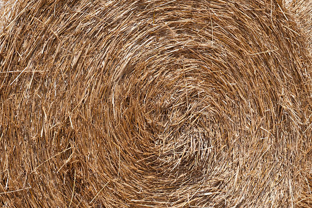 istock Sheaves of straw 106532522