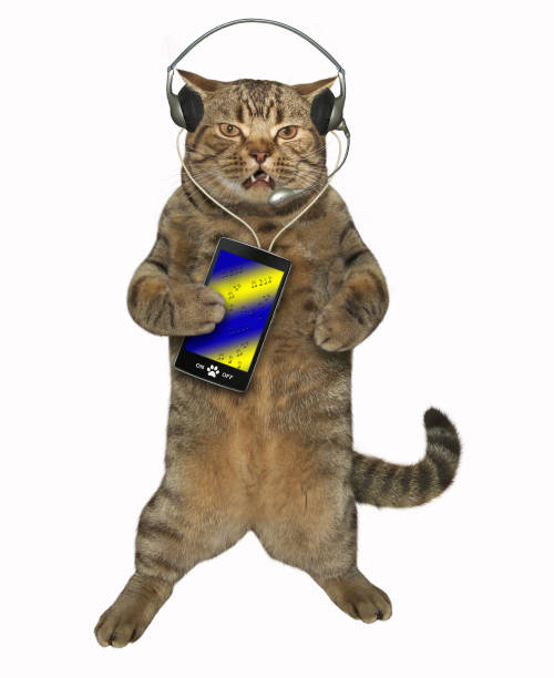 istock Cat in a headset with a smartphone 1065328812