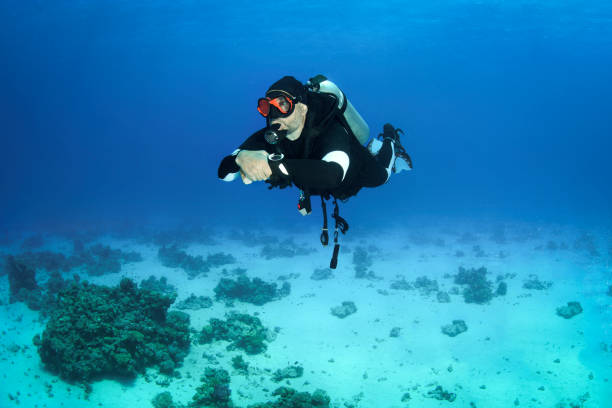 istock Scuba diver swimming near the sea bottom 1065334584