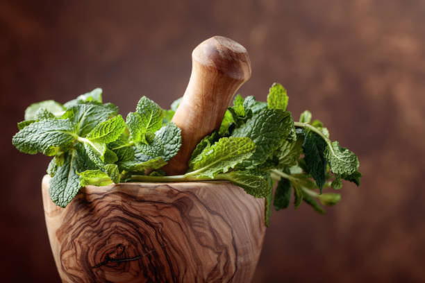 istock Bunch of fresh green organic mint in mortar. 1065336202