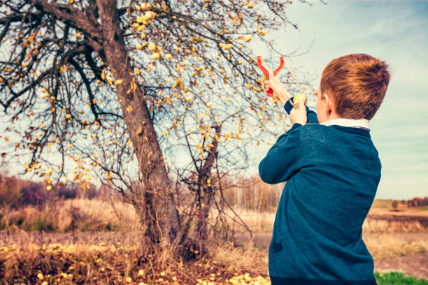 Little cute redhead boy hiking and picking autumn leaves in Mont Tremblant National Park in Autumn, Quebec, Canada. He is smiling and holding a red maple leaf.