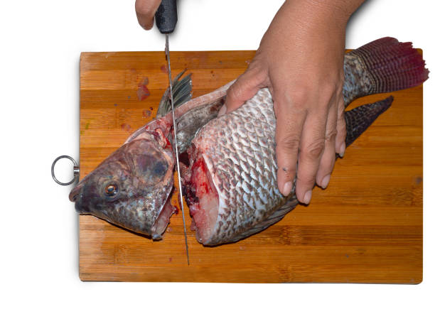 istock Fresh Fish Chef, cut fish fillet in a fish shop. 1065348226