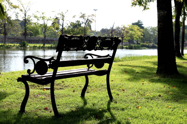 istock chair in public park 1065352554