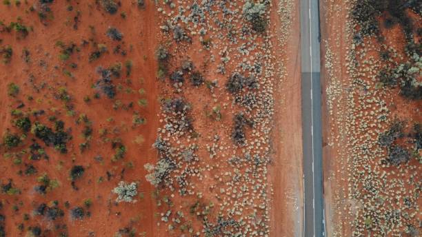 istock red desert and a road aerial view 1065354964