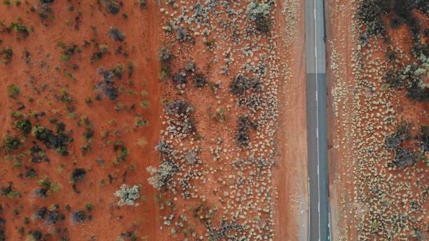 red desert and a road aerial view red desert with few small dry bushes and a road splitting the images into two. aerial view from a drone, on the way to kings canyon, australia northern territory australia stock pictures, royalty-free photos & images