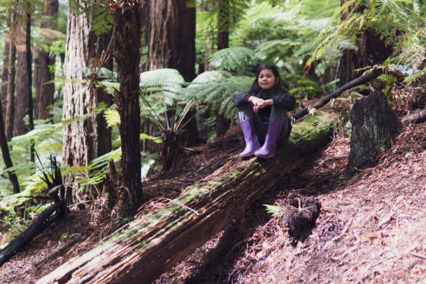 Girl sitting on a fallen tree trunk stock photo