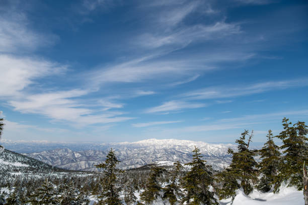 Iide Mountain Range and coniferous forests of snowy field