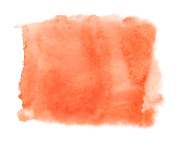 istock Watercolor painting on white paper 1065355746