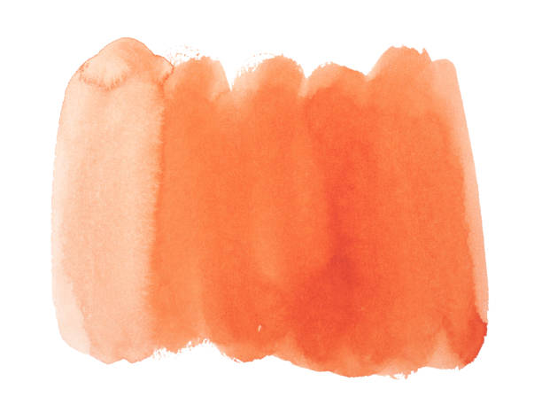 istock Watercolor painting on white paper 1065357146