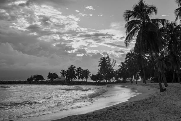 istock Sunset on the paradise tropical beach 1065357962