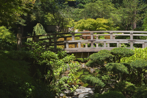A red Japanese garden bridge over a small green river among vegetation