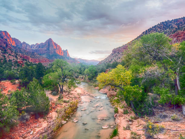 istock Zion National Park, Utah 1065367264