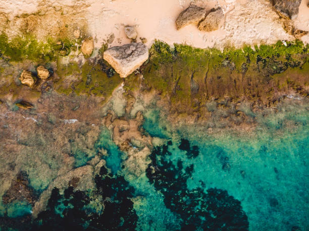 istock Turquoise ocean water with beach, aerial drone shot. Top view 1065372492