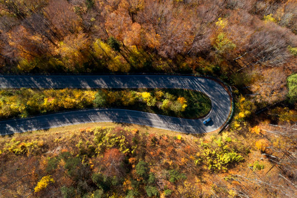 istock Sharp Road Curve in Autumn Forest from Above 1065372630