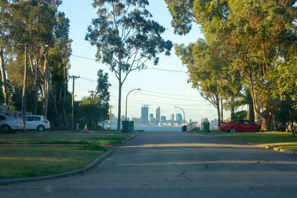 Green grass and hill with trees and tall buildings on a sunny day.