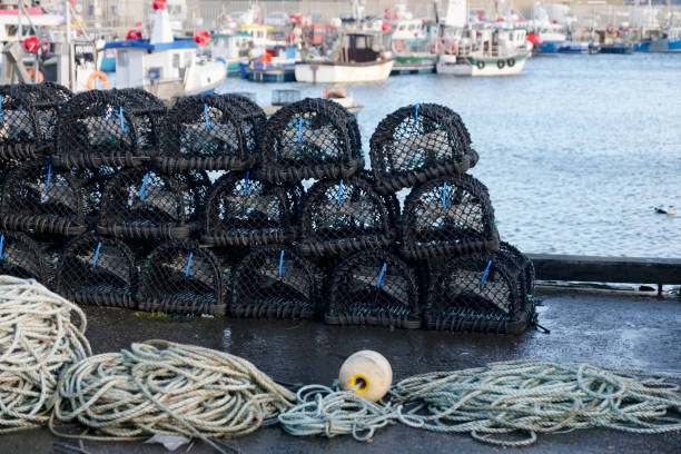 istock Stacked lobster fishing pots netted boxes at harbour wall 1065374776