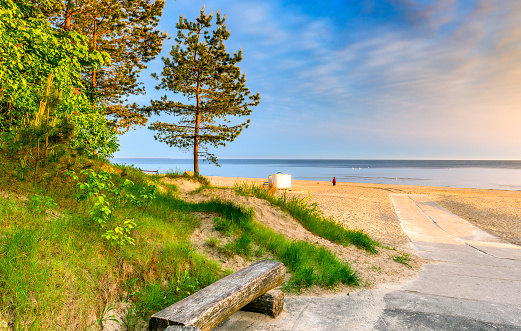 Morning at sandy beach with a pine tree in Jurmala
