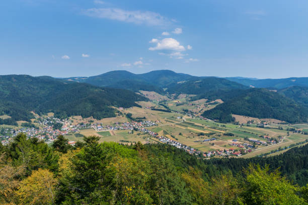 istock Germany, Aerial view on black forest villages between tree covered mountains 1065377476