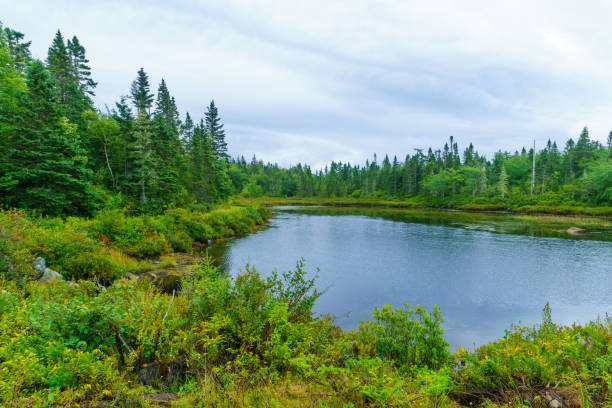 istock Awalt Lake, in Nova Scotia 1065379980