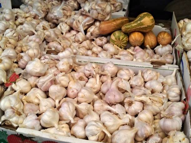 istock Garlic and pumpkin in the market. 1065380204