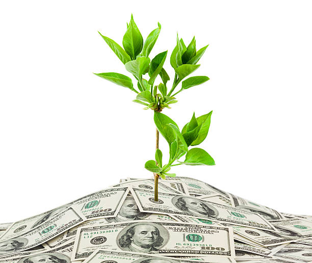 istock Money and plant 106538240