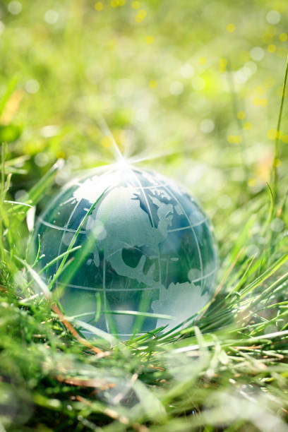 istock Close up glass globe on green grass 1065383718