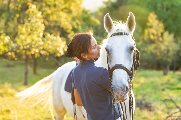 Bonding with horse Woman hugging her horse, rear view horse stock pictures, royalty-free photos & images