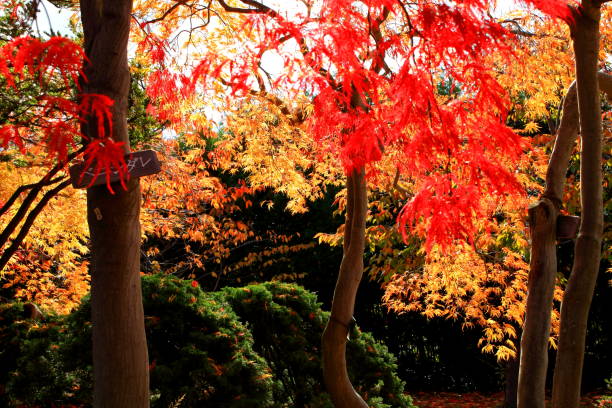 istock landscape in autumn 1065390514