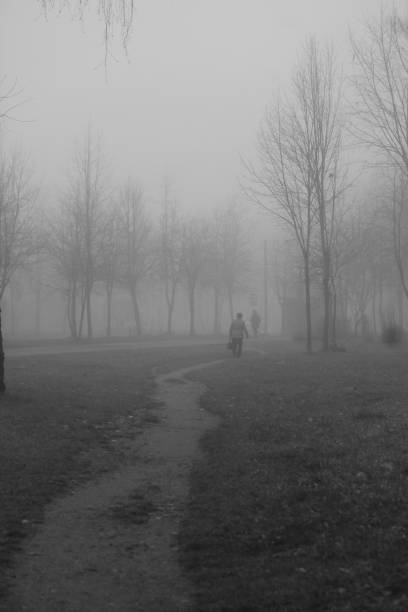 istock autumn fog 1065394750